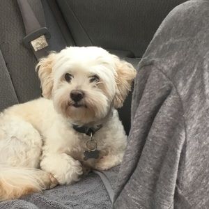 Meet your Posher, Lola